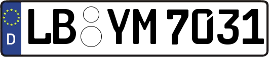 LB-YM7031