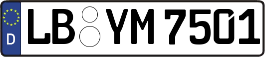LB-YM7501