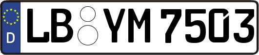 LB-YM7503