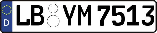 LB-YM7513