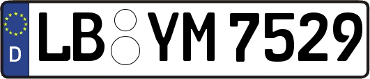 LB-YM7529
