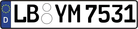 LB-YM7531