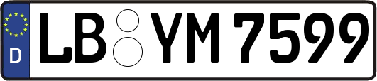 LB-YM7599