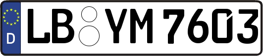 LB-YM7603