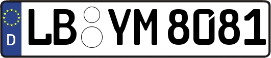 LB-YM8081