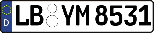 LB-YM8531
