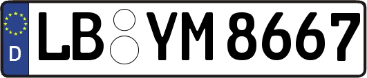 LB-YM8667