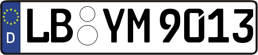 LB-YM9013