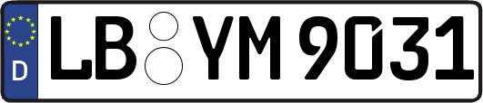 LB-YM9031