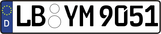 LB-YM9051