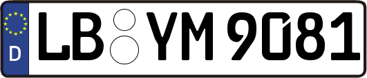 LB-YM9081