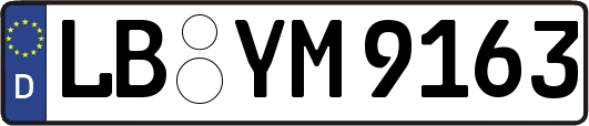 LB-YM9163