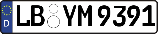 LB-YM9391