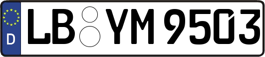 LB-YM9503