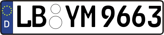 LB-YM9663