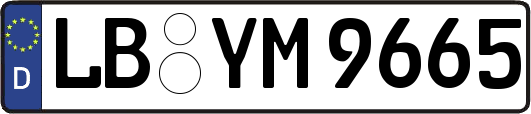 LB-YM9665