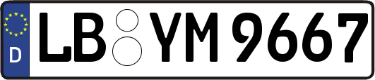 LB-YM9667