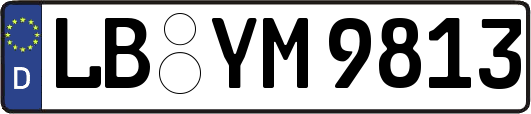 LB-YM9813