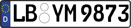 LB-YM9873