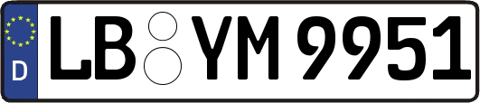 LB-YM9951