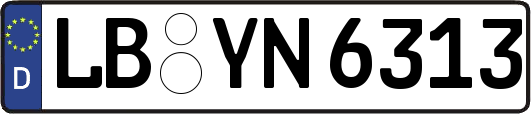 LB-YN6313