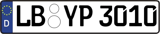 LB-YP3010