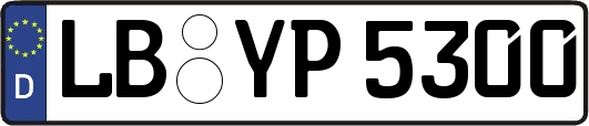 LB-YP5300