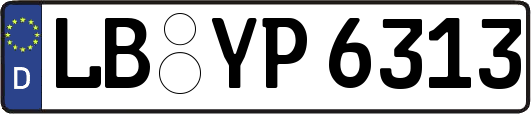 LB-YP6313