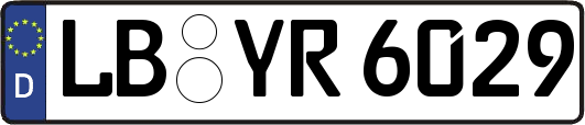 LB-YR6029