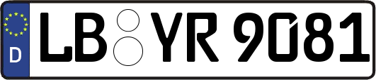 LB-YR9081