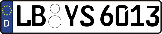 LB-YS6013