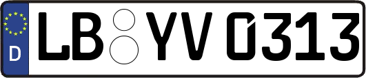 LB-YV0313