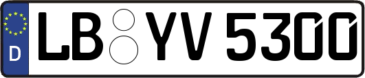 LB-YV5300