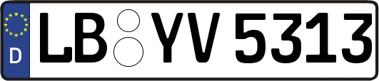 LB-YV5313
