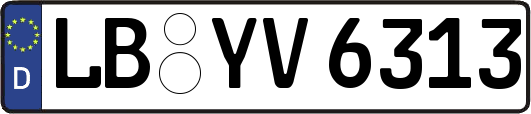 LB-YV6313