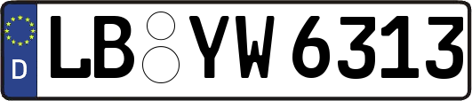 LB-YW6313