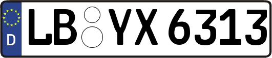 LB-YX6313