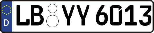 LB-YY6013