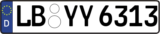 LB-YY6313