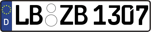 LB-ZB1307