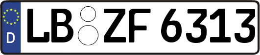 LB-ZF6313