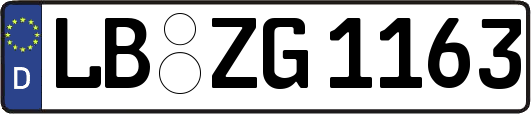 LB-ZG1163