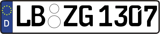 LB-ZG1307