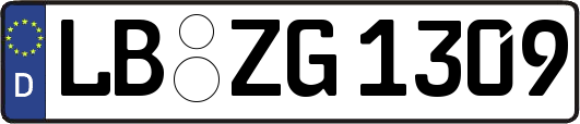 LB-ZG1309