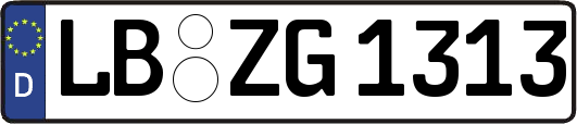 LB-ZG1313