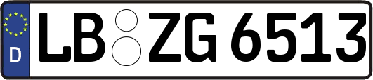 LB-ZG6513