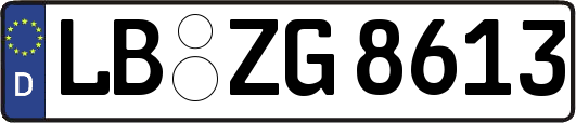 LB-ZG8613