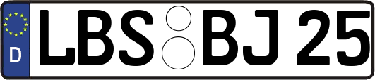 LBS-BJ25