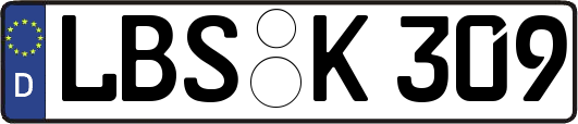 LBS-K309