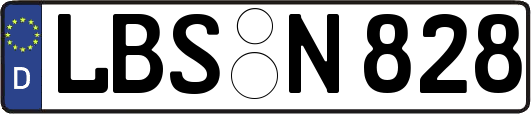 LBS-N828
